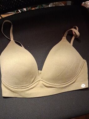 Everyday Seamless Light Green Padded Bra - Women Intimates